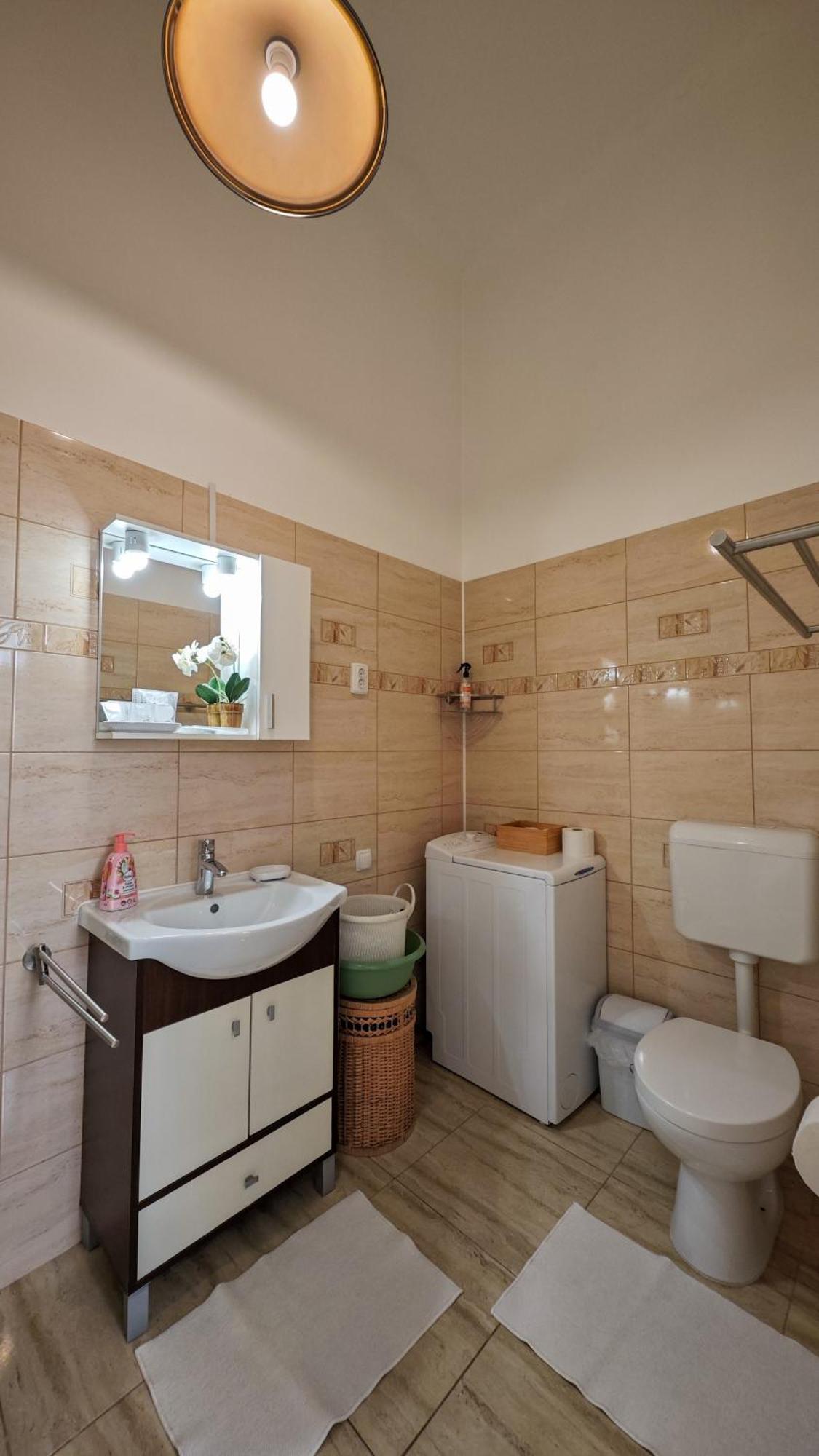 Neuhausz Residenz Ultra-central Apartment Timişoara